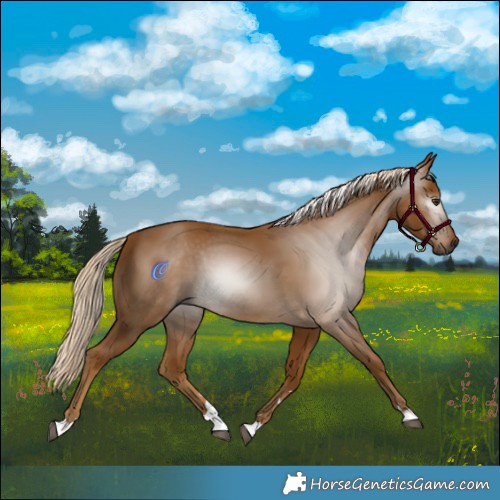 Horse Color:Gray Palomino 