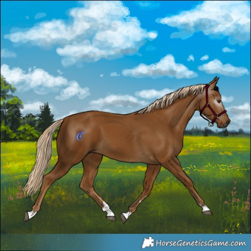 Horse Color:Gray Palomino