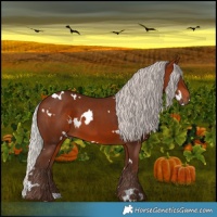 Horse Color:White Spotted Silver Brown 