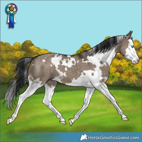 Horse Color:White Spotted Brown Dun Splash