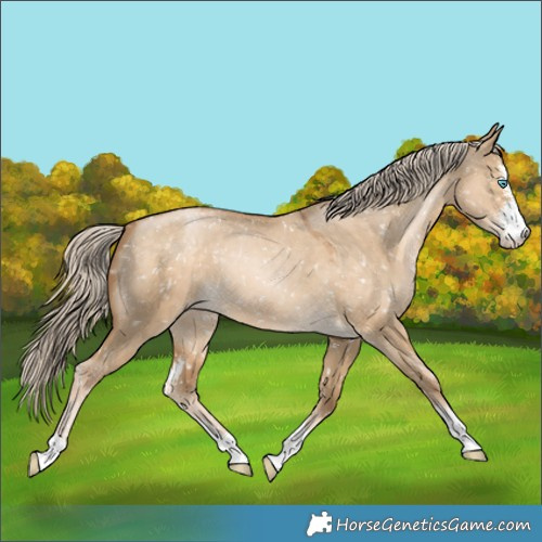 Horse Color:Chocolate Palomino Pearl Dun Sabino Snowflake Varnish 