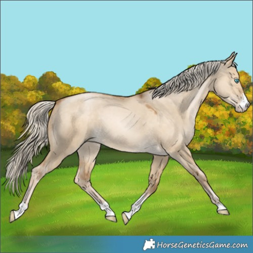 Horse Color:Chocolate Palomino Pearl Dun Sabino