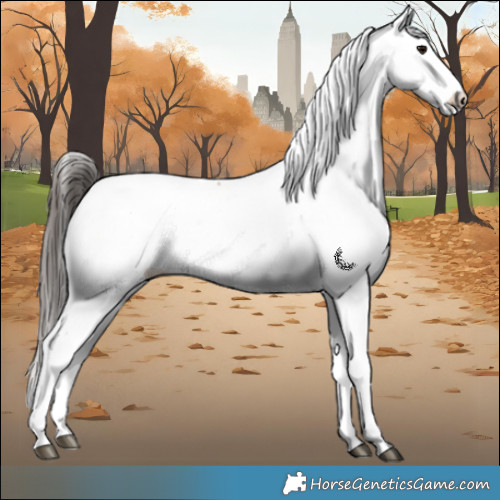 Horse Color:Bay Fewspot 