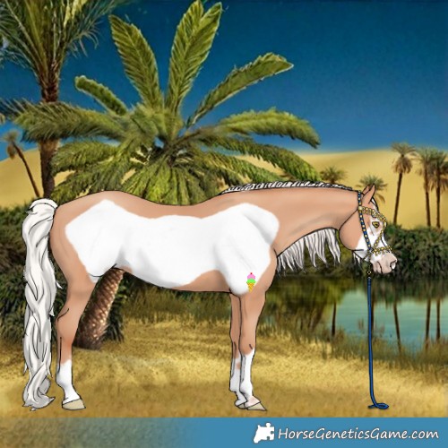 Horse Color:Silver Amber Champagne Frame