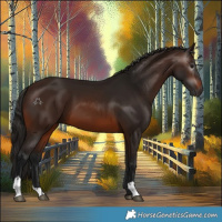 Horse Color:Gray Bay 