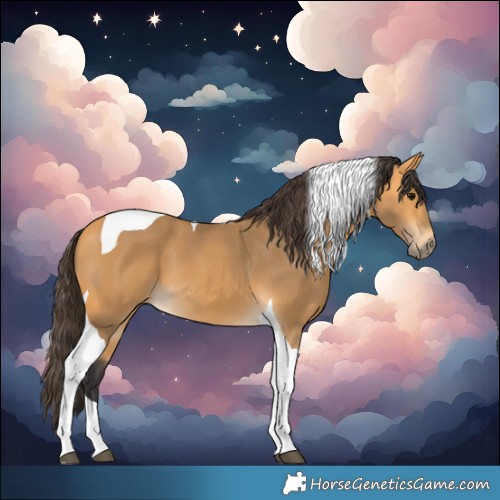 Horse Color:Buckskin Tobiano 