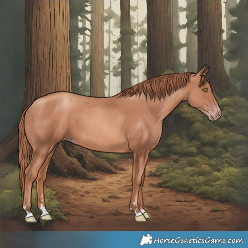 Horse Color:Gold Champagne