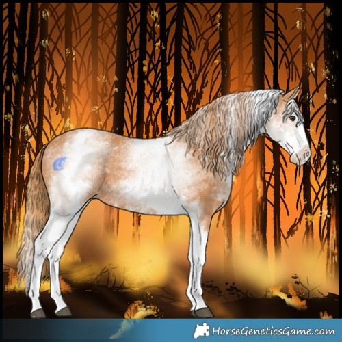 Horse Color:White Spotted Chestnut Splash 