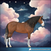Horse Color:Bay Splash 