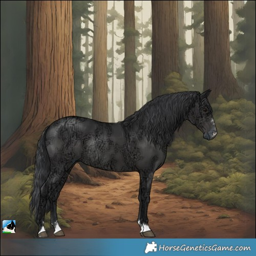 Horse Color:Black Ice Mushroom Rabicano