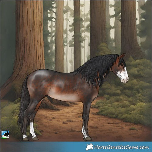 Horse Color:Brown Mushroom Sabino 