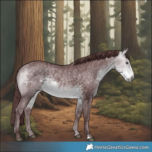 Horse Color:Chocolate Buckskin Chinchilla 