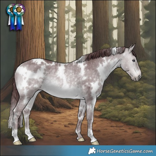 Horse Color:White Spotted Chocolate Bay Chinchilla Rabicano 
