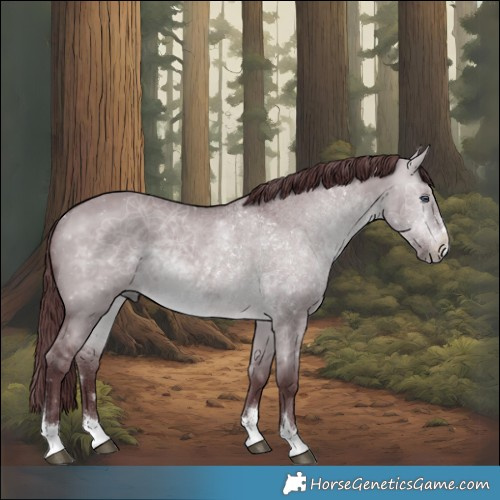 Horse Color:Chocolate Brown Chinchilla Dun Rabicano