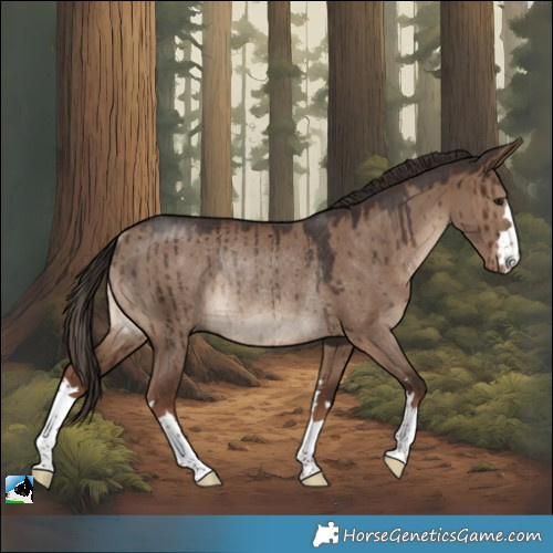 Horse Color:Liver Red Dun Rabicano Brindle