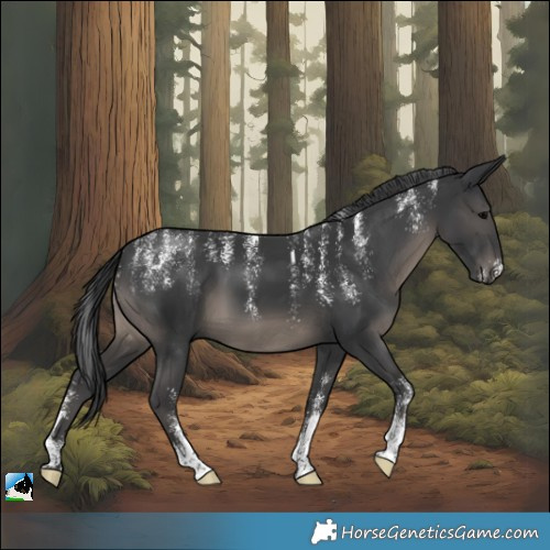 Horse Color:Powder White Black 