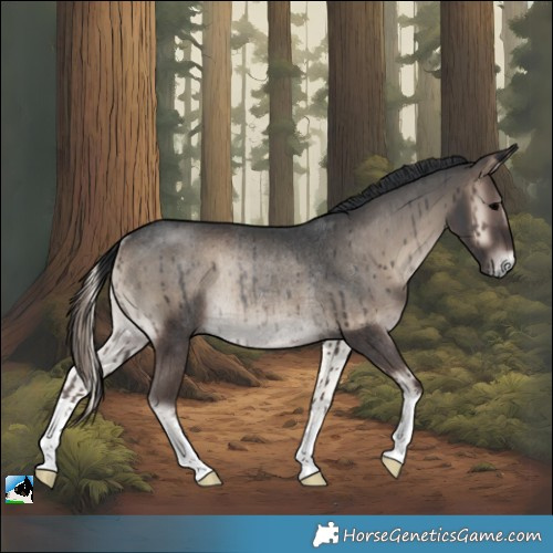 Horse Color:Blue Onyx Rabicano 