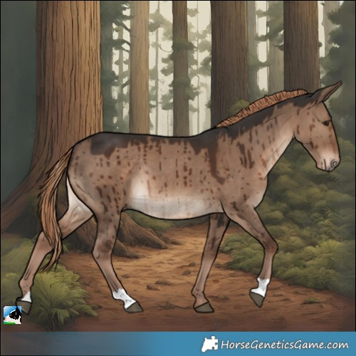 Horse Color:Liver Red Dun Rabicano Brindle 