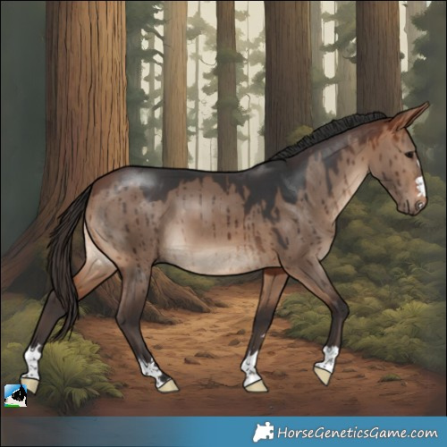 Horse Color:Bay Dun Brindle 