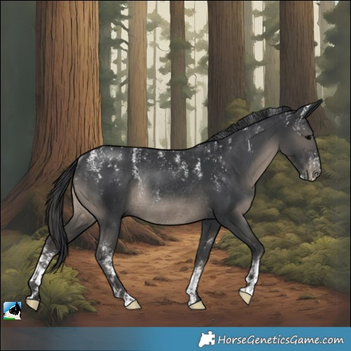 Horse Color:Powder White Black Rabicano