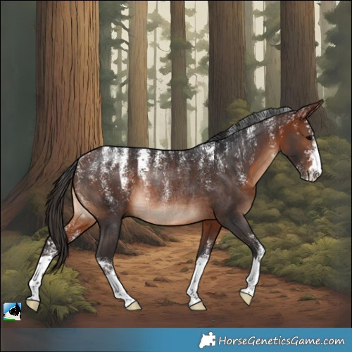 Horse Color:Powder White Bay Rabicano