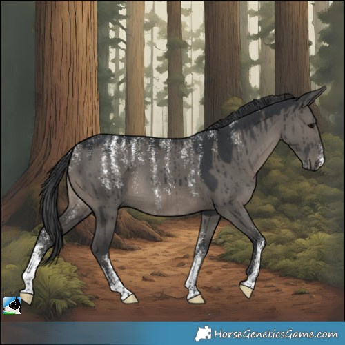 Horse Color:Powder White Grullo Brindle