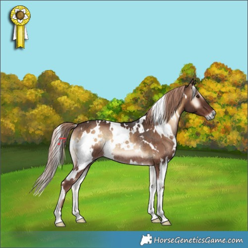 Horse Color:White Spotted Liver Red Onyx Rabicano 