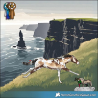 Horse Color:White Spotted Liver Red Onyx Blanket 