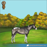 Horse Color:Blue Onyx Tobiano Varnish