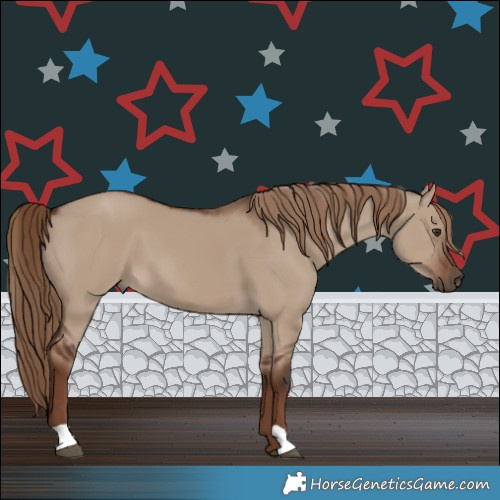 Horse Color:Liver Red Dun