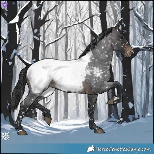 Horse Color:Brown Roan Near Fewspot 