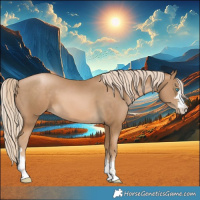 Horse Color:Chocolate Palomino