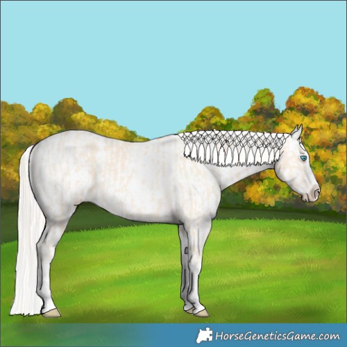 Horse Color:Cremello Splash  and Cremello Splash 