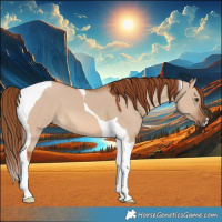 Horse Color:Red Dun Tobiano