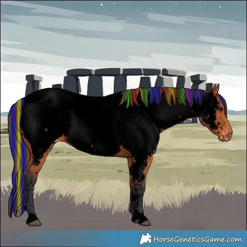 Horse Color:Void Painted Bay Appaloosa