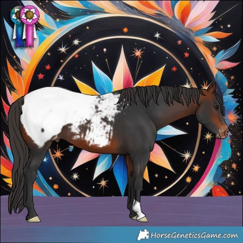 Horse Color:Bay Snowcap