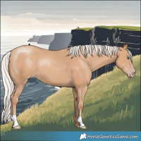 Horse Color:Silver Classic Champagne 