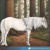 Horse Color:Gold Cream Champagne Pearl