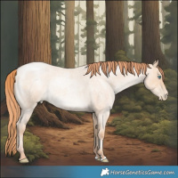 Horse Color:Amber Champagne Roan Pearl