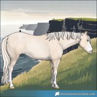 Horse Color:Gold Cream Champagne Pearl 
