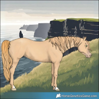 Horse Color:Gold Champagne