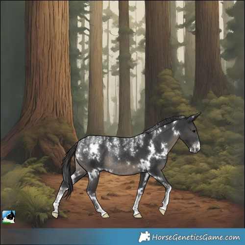 Horse Color:Powder White White Spotted Black Rabicano