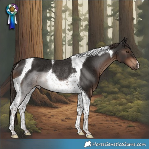 Horse Color:Liver Chestnut Tobiano Rabicano