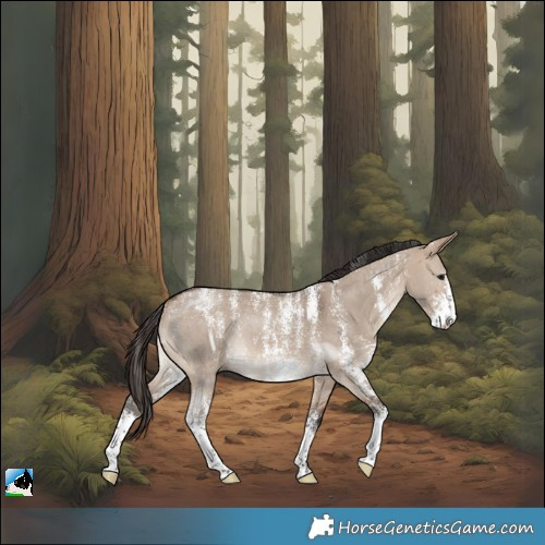 Horse Color:Powder White Brown Dun Sabino 