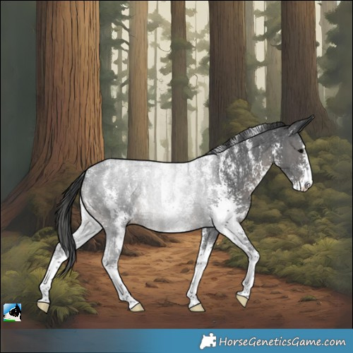 Horse Color:Powder White Black Sabino