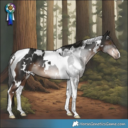 Horse Color:White Spotted Liver Chestnut Tobiano Rabicano 
