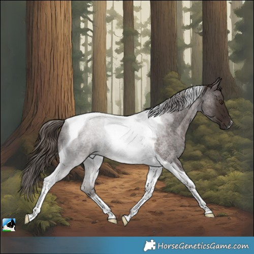 Horse Color:Liver Red Roan Tobiano Rabicano