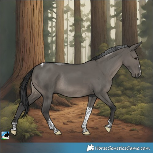 Horse Color:Grullo Tobiano Rabicano