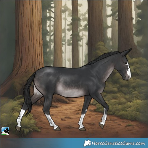 Horse Color:Platinum Brown Rabicano