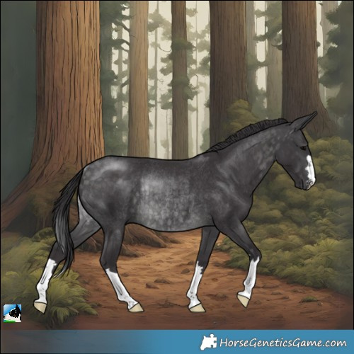 Horse Color:Platinum Buckskin Rabicano